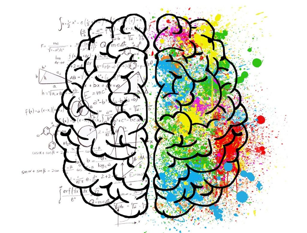 Modulation douleur cerveau